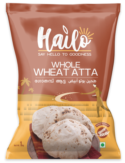 hailo sambar powder